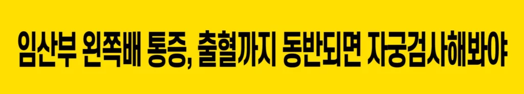 임산부 왼쪽배 통증, 출혈동반되면 자궁검사해야 - 바로가기