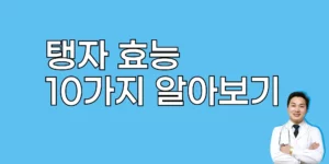 탱자-효능2